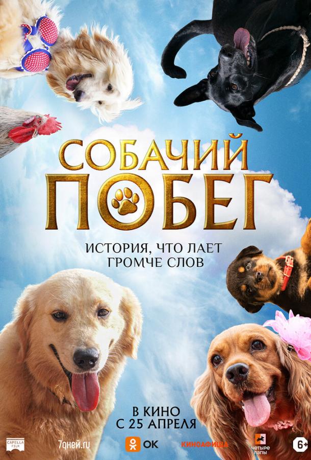 Фильм Собачий побег 2023 смотреть онлайн с Рошаном Мэтью и Сурабхи